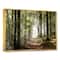 Designart - Green Fall Forest with Sun Rays - Landscape Photography Framed Canvas Print